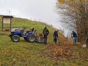 Das Laub nimmt kein Ende