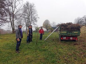 gesammeltes Buschwerk und Altgras